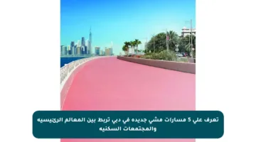 تعرف على 5 مسارات مشي جديدة في دبي تربط بين المعالم الرئيسية والمجتمعات السكنية